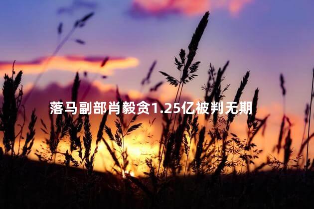 落马副部肖毅贪1.25亿被判无期 中国反腐败斗争的坚决态度